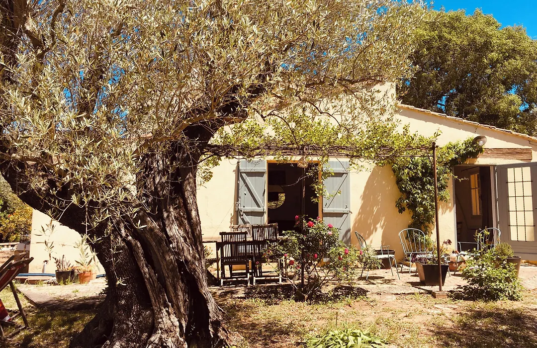 Bastide Sainte Trinide-1